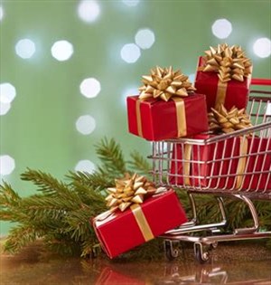 Holiday Shopping - Now Til Dec. 23rd